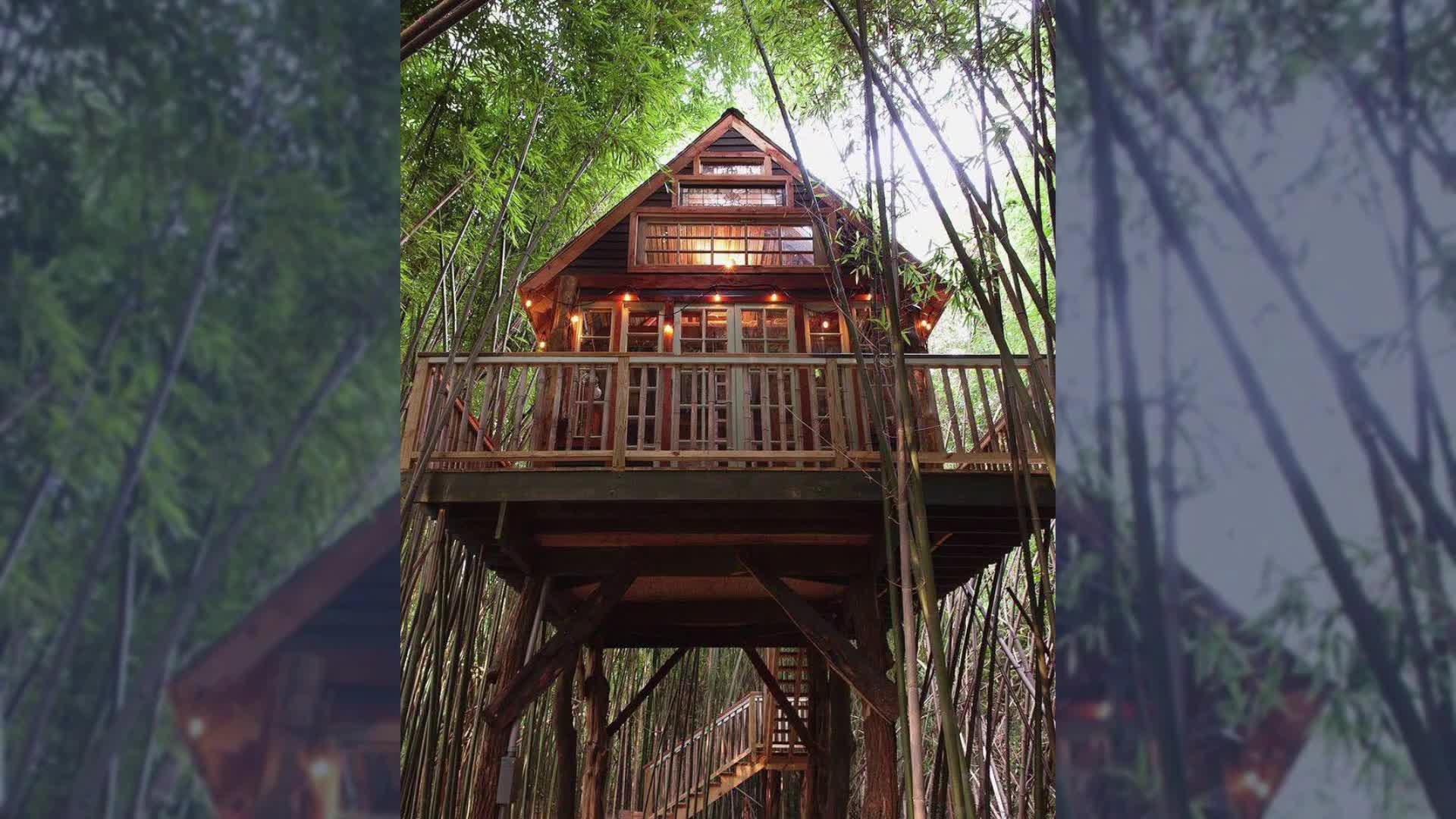 Best Atlanta Airbnbs: Top Airbnbs in Atlanta, best Airbnbs in Georgia