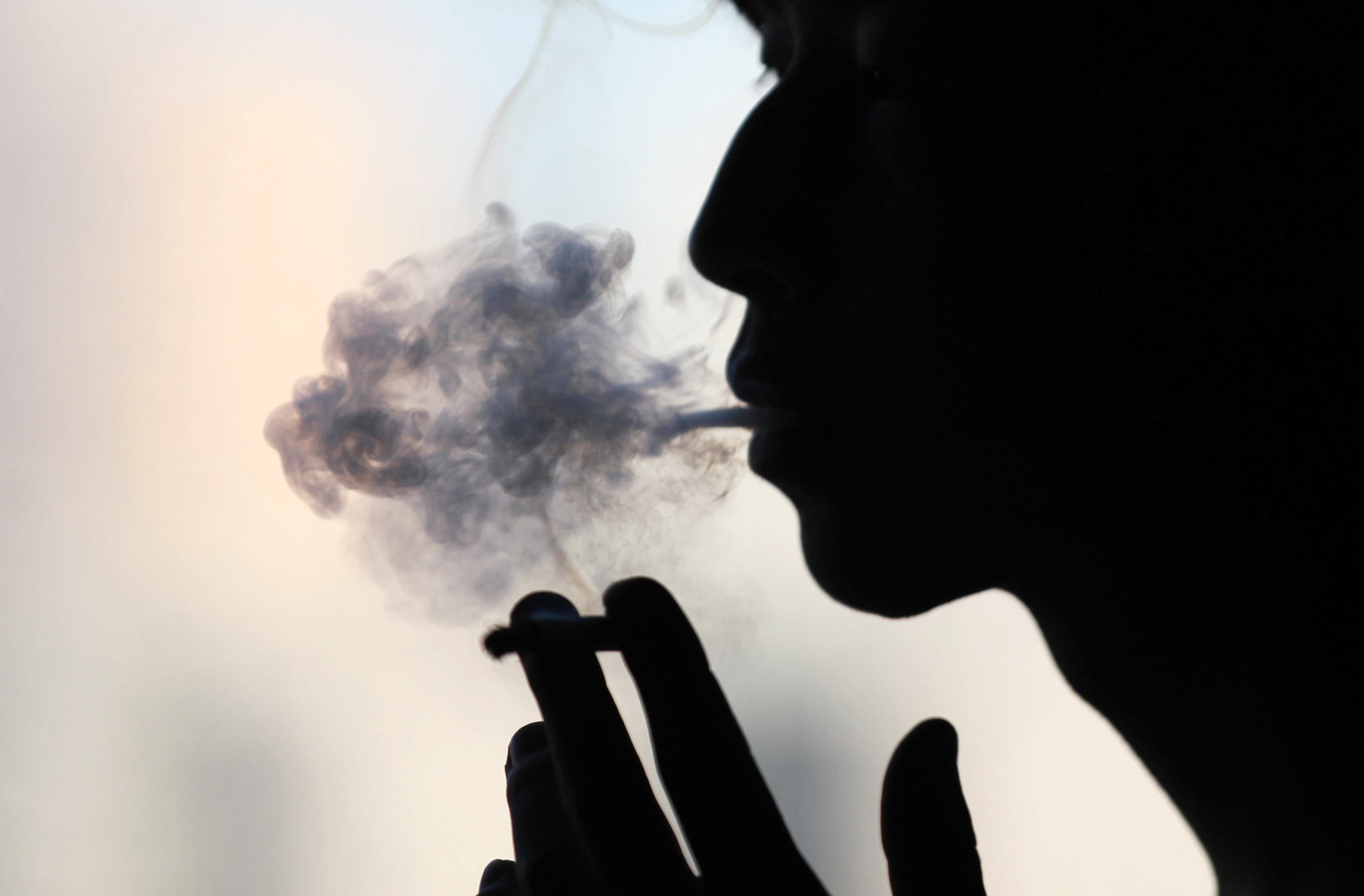 famous people who chew tobacco Celebrities and Stars