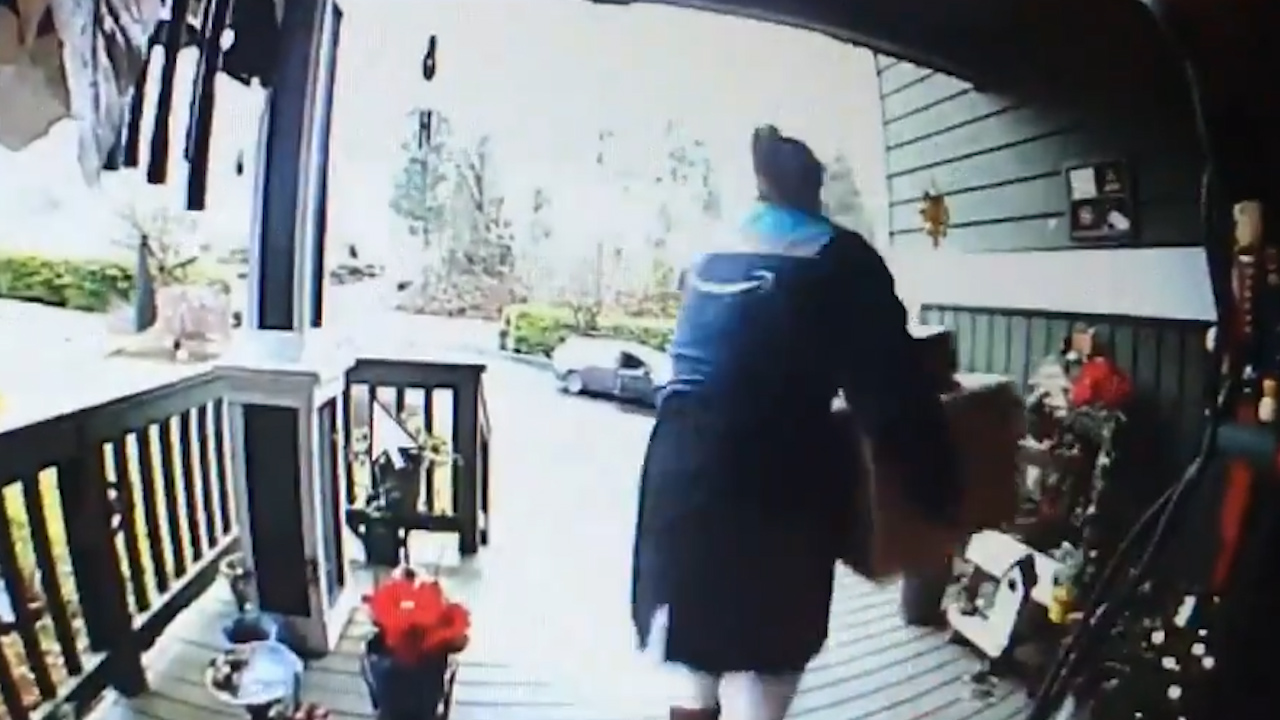 Caught on camera: Woman appears to be Amazon delivery driver, steals ...