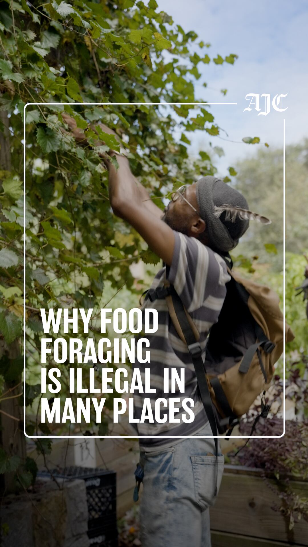 In Georgia, picking wild fruit could cost you $1,000 — unless you go here